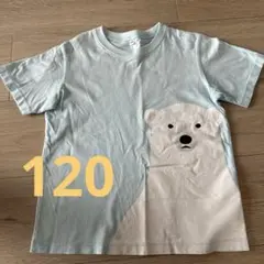 無印良品 120 シロクマプリントTシャツ