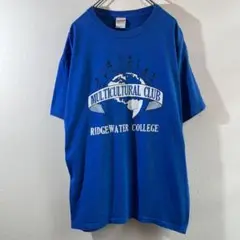 T-191 GILDAN MULTICULTURAL CLUB Tシャツ L