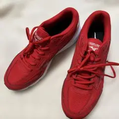 Mizuno 赤 ランニングシューズ　26.5cm
