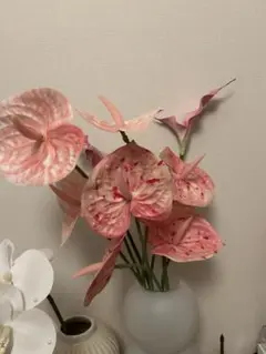 Item thumbnail for item 33b2380a-0a0d-40cd-af9a-01b9ca4838d2