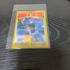 川口能活新人王カード