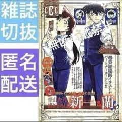 名探偵コナンカード　サンデーS　ページ切抜き　工藤新一　毛利蘭　新蘭　TCG