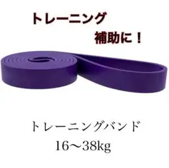 トレーニング向上！　パープル　トレーニングチューブ　懸垂　レジスタンスバンド
