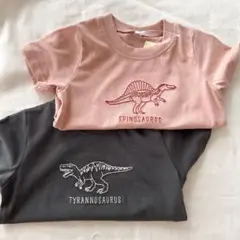 西松屋　恐竜刺繍　Tシャツ　ダイナソー　恐竜