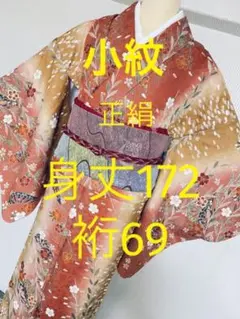 トールサイズ 絹 金彩 小紋 袷 身丈172 裄丈69 裄69