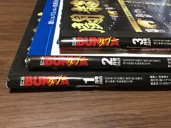 実話BUNKAタブー　2025年1月・2月・3月　3冊セット（102）
