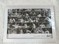 2025年千葉ロッテマリーンズオフィシャルカレンダー 野球選手