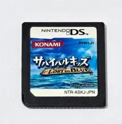 サバイバルキッズ Lost in BLUE (DS)