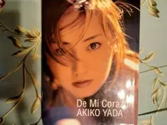 矢田亜希子　写真集『De Mi Corazon』