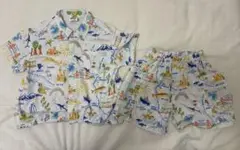 Item thumbnail for item 1b09059f-fd3f-4d9b-87d8-e22da9ccf49c
