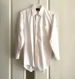 Item thumbnail for item 0aadabc2-7dfb-4fa9-b38b-5fa7e2df7f17