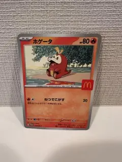 ポケモンカード　ハッピーセット　ホゲータ