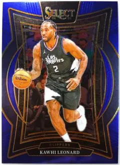 KAWHI LEONARD SELECT 25