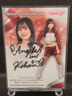 Item thumbnail for item 71a5da07-638d-406e-800f-7a5e6b7accb3