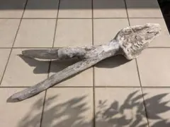 Item thumbnail for item 849b4b16-f279-4d37-81b4-ea8c1a384655