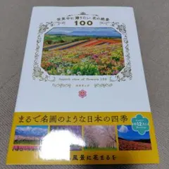 世界中に贈りたい花の絶景