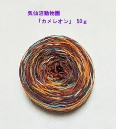 【オパール毛糸 ハーフ】気仙沼動物園 「カメレオン」 ５０g