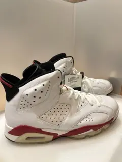 NIKE AIR JORDAN 6 RETRO 2010 桜木花道※加水分解有り