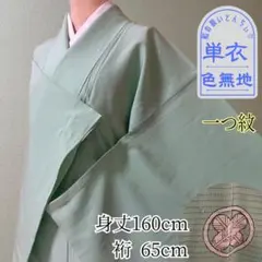 k183 単衣 色無地 絽 身丈160cm 一つ紋 若緑色 爽やか 三越タグ付き