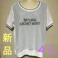 値下げ！新品☆大きいサイズ☆４Ｌ☆半袖Ｔ