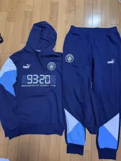 Item thumbnail for item 962ed5cf-11c4-4947-a27e-babf17e665f9