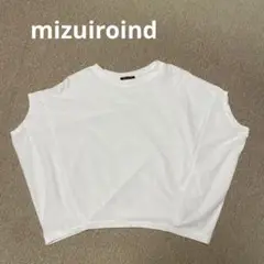 （定番）ホワイト クロップドTシャツ 綿100% mizuiroind