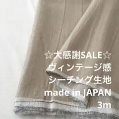 B2L/5764-01◆3m 感謝祭/綿系ヴィンテージ感シーチング生地/アパレル