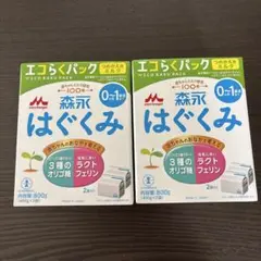 【２箱】森永 はぐくみ エコらくパック 詰め替え用