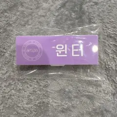 aespa ウィンター　ネームバッジ　SMTOWN