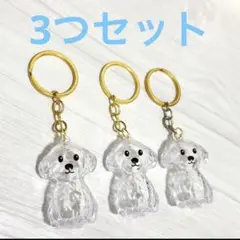 Item thumbnail for item 118fdb4f-a194-4ea0-a2fc-1cd0061888e2