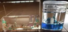 置物　海