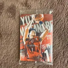 Bリーグツインウエハース 2024-25渡邊雄太