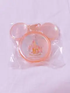ディズニー スーベニア 40周年