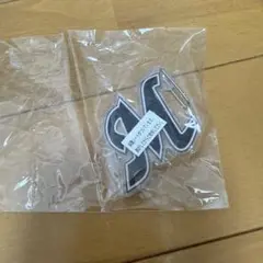 パリーグ　カラビナキーホルダー　千葉ロッテマリーンズ　　　ガチャガチャ