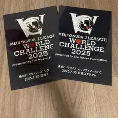 Jリーグ ワールドチャレンジ 2025 クリアファイル　マリノスVSリヴァプール