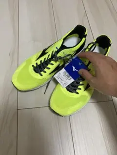 タグ付き未使用　ミズノ ランニングシューズ ウェーブクルーズジャパン 28.5