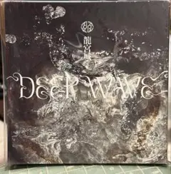 龍宮城 ：会場限定盤EP『DEEP WAVE』 ランダムレアカード　全員集合