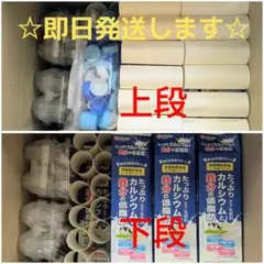 牛乳パック完全未解体＋卵パック＋トイレットペーパー芯＋キャップ 工作 夏休み宿題