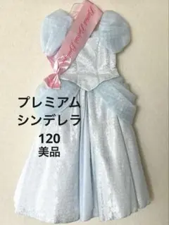 120 シンデレラ　プレミアムドレス　ビビディバビディブティック