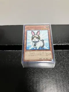 1103兎ラギアデッキ