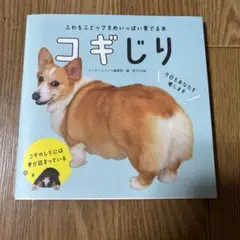 コギじり
