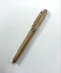 Item thumbnail for item ae504bb6-7a75-447a-a59b-ca48391f74b5