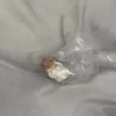 まけるもんか ハムスター ガチャガチャ