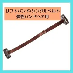 Item thumbnail for item de141a14-48ac-45da-8de6-3a8bc00e61e2