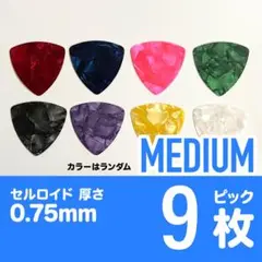 Item thumbnail for item 1e3b8168-a14b-4cdf-b7d2-d250f2239e74