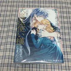 家から逃げ出したい私が、うっかり憧れの大魔法使い様を買ってしまったら(コミック…