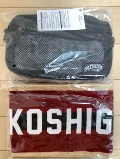 Item thumbnail for item 8c3990a5-a9d4-40f0-9631-35c819a1d5dc