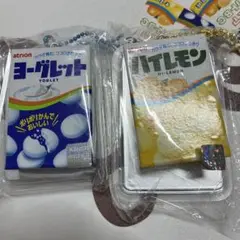Item thumbnail for item cf3003b6-743f-4ec0-8793-2a025cd06269