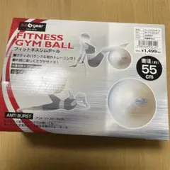 Sazgear フィットネスジムボール 55cm
