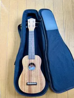 Pupukea UF-P20 パイナップルソプラノ Pupukea UF-P20 パイナップルソプラノ